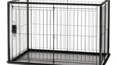 Item thumbnail for item 3cff14f9-f996-4bea-aaca-61389e56d803