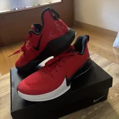 NIKE Mamba Focus Red 26cm コービー・ブライアント 2026年最新】ナイキ マンバの人気アイテム - メルカリ