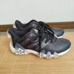 アディダス ゴルフ ゴルフシューズ 24.5㎝ コードカオス 22 スパイクレス