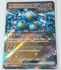 スナノケガワEX RR 220 HPのサムネイル