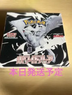 拡張パックデラックス ホワイトフレア 1BOX シュリンク付き