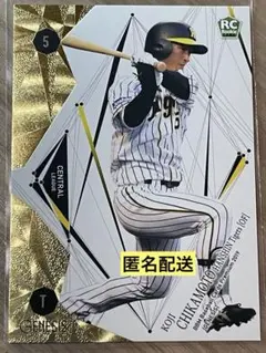 Item thumbnail for item 4ea9f30d-bf42-490a-933f-80a5df740b4c