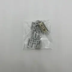 鬼滅の刃 鍔チャームコレクション 霞柱 時透無一郎