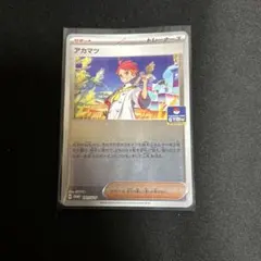 ポケモンカード　新弾バトル　プロモ　ジムプロモ　アカマツ