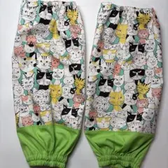 Item thumbnail for item aa63e048-fe53-4946-b57d-623fbbc5712e