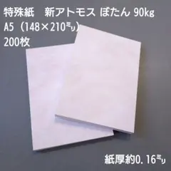 Item thumbnail for item 0c095ce2-29da-4018-9ce0-6fb39b3f35e7