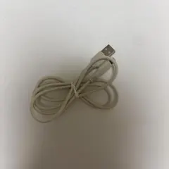 Item thumbnail for item d5db7b28-5313-4ac1-8069-00247123e921