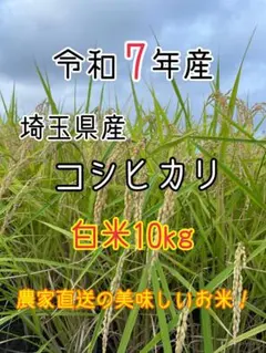 キーヨ様専用 リピートご購入様限定価格 無洗米10k - メルカリ