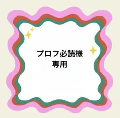プロフ必読様専用