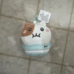 もちにゃみ　Dr.G ぬいぐるみ オリーブヤング