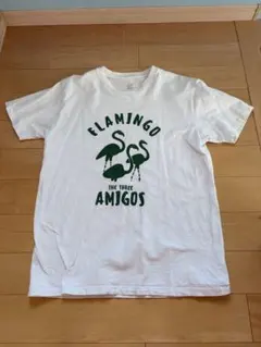 フラミンゴ シャツ