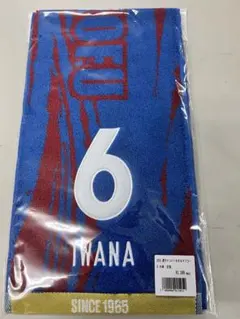 Item thumbnail for item f1381229-cdd2-4727-a329-57691757792c