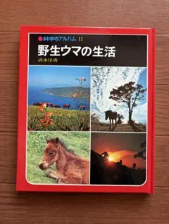 11. 科学のアルバム 『野生ウマの生活』 清水洋香