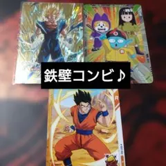 sdva-002 ベジット