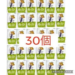 東方Project ぬーどるストッパーフィギュア 洩矢諏訪子　30個