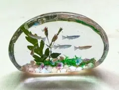 めだかオブジェ
