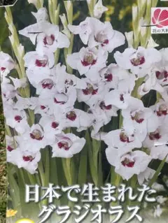 sabo*sabo様 リクエスト 2点 まとめ商品