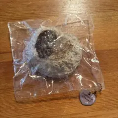 xiaorong パルミエ チョコ スクイーズ ハートパイ ronron