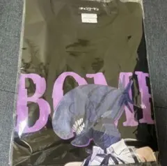 Item thumbnail for item 2d0fc5dc-4416-4943-a3df-25601086ec8f