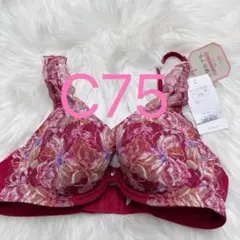 トリンプ 天使のブラ(R) スリムライン582 ブラジャー レッド C75