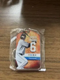 源田壮亮選手 記念キーホルダー 6