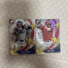 大谷翔平＆マイク・トラウト 2018年実使用 ダブル直筆サインボール