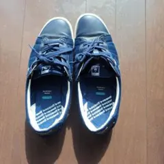 Item thumbnail for item 7e0c2c6e-8dee-4e73-8fc9-27c981eeeea5