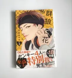 群狼に花 ３巻