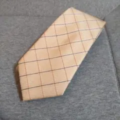 Item thumbnail for item 777c68de-09e7-4a4a-b45e-3ae46239261d