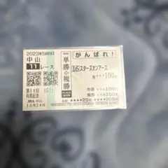 スターズオンアース　応援馬券　有馬記念　2023 現地