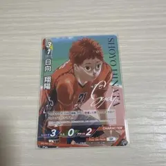 ハイキュー 日向翔陽 バボカ サイン入り