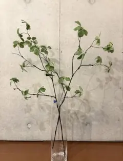 ドウダンツツジ フェイクグリーン 花瓶 3束 セット - メルカリ