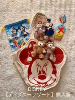 DISNEY【ディズニーリゾート】購入等計6点セット