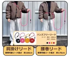 Item thumbnail for item 1c1629f5-0eda-4d91-9a6b-625eaecc066a