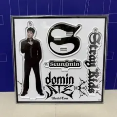 Stray Kids Seungmin アクリルスタンド