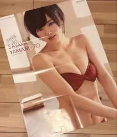 Item thumbnail for item b6667f47-b763-4fdb-8eee-0a53dba514af