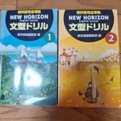 NEW HORIZEN ENGLISH COURSE1、2、3、文型ドリルセット 2025年最新】ニューホライズン 文型ドリルの人気アイテム - メルカリ