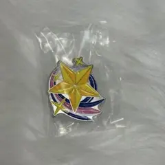 アイカツ　プリパラ　ピンズコレクション スターライト学園