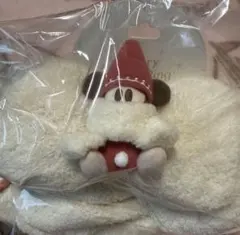 リルリンリン 2025 マフラー