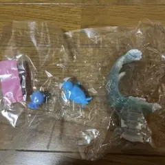 ポケットモンスター　ダイヤモンドダスト　タマザラシ&トドグラー　ポケモン