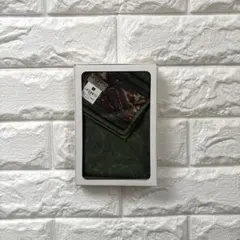 Item thumbnail for item 73025f75-ab3b-4e3f-9757-fe7ca62219ee