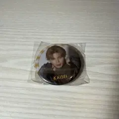 2026年最新】武知海青の人気アイテム - メルカリ