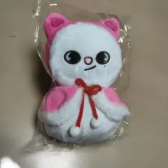 【美品】Stray Kids　SKZOO XMAS POPUP ジニレット