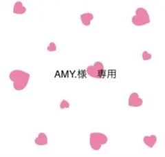 AMY.様　専用