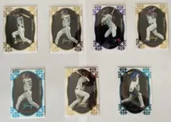 Item thumbnail for item b96647eb-c3ae-45d6-9950-625629329846