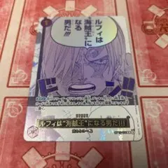 ワンピースカード ルフィは海賊王になる男だ！！