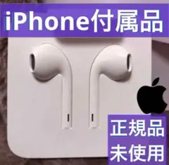 iPhone 純正イヤホン  Apple正規品 ライトニング 純正品