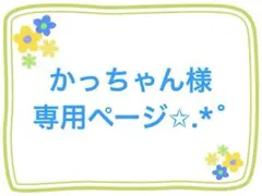 かっちゃん様専用ページ✩.*˚