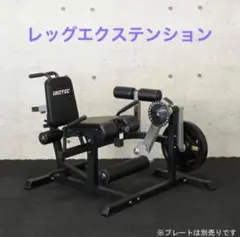IROTECレッグプレスマシンLPM5-HPM 【引取限定】 - メルカリ