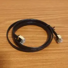 Cat8 LANケーブル 1m フラット